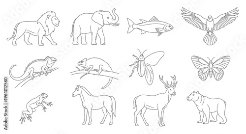 Collection of various wild animals 10.