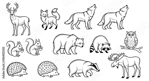 Collection of various wild animals 2.