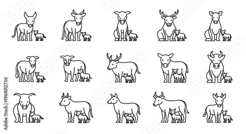 Cows and calves in various poses.