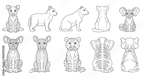 Koala bear animal drawings sitting positions.