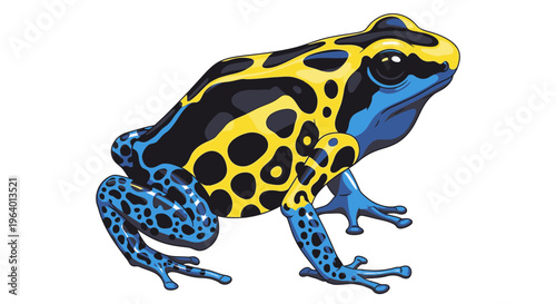 Poison dart frog in profile view.