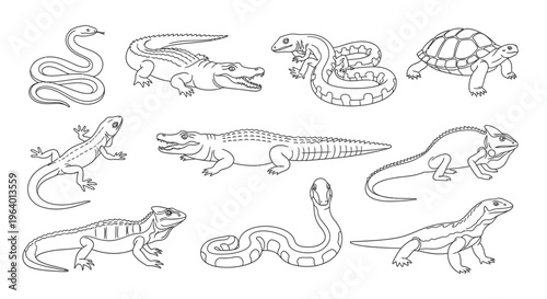 Reptiles including snakes and lizards.