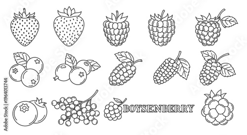 Variety of fruit icons in black 2.