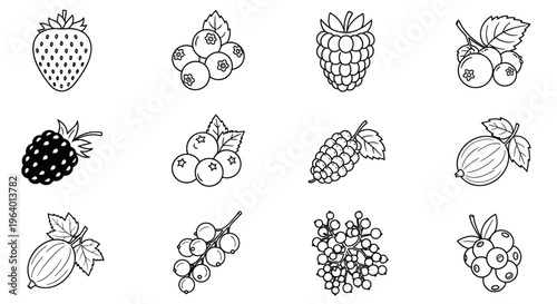 Variety of fruit icons line art 13.