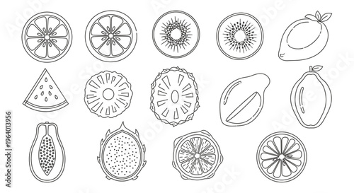Variety of fruit slices and halves 1.