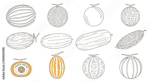 Variety of melons and gourds 1.