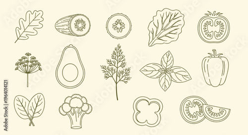 Collection of fresh vegetables and herbs for healthy eating, outline drawings on beige background.