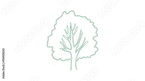 Symmetrical deciduous tree outline vector for seasonal branding and environmental graphics.
