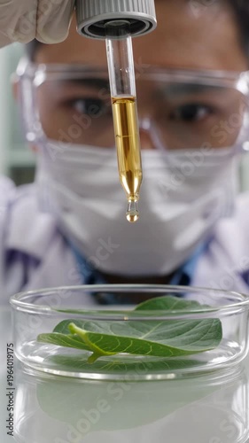 Scientist dropping liquid onto leaf in petri dish during experiment, vertical footage
