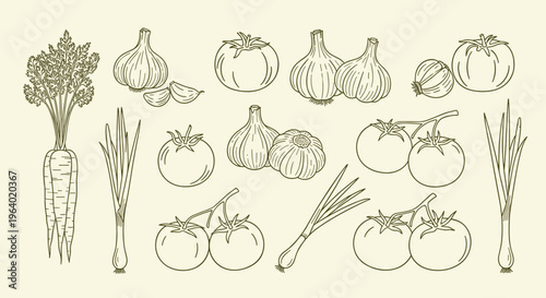 Fresh vegetables collection healthy food ingredients like carrots garlic and tomatoes.