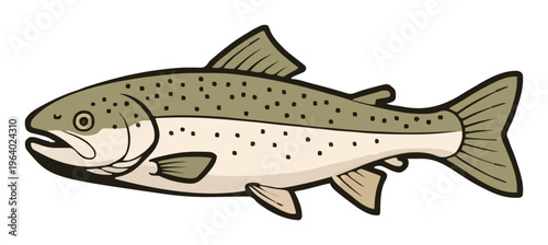 Freshwater trout vector illustration side view isola.... Generative AI