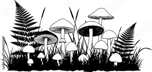 Detailed Mushroom with Ferns silhouette