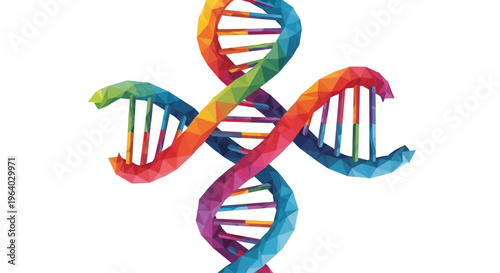 Colorful DNA Double Helix Structure Model.