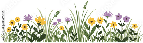 Colorful illustration of wildflowers and grasses in a field