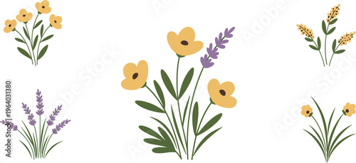 Five illustrations of yellow flowers and purple lavender on white background