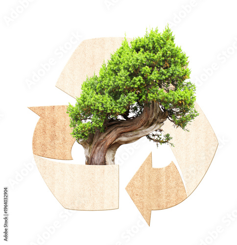 New life. Arrows recycle symbol and tree. Reuse, renewable resources. Eco-friendly, Ecology, go green, Green Energy, environmental, zero waste, responsible consumption concept. Isolated on white