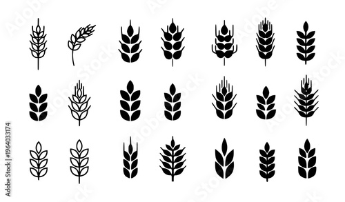  Wheat and Grain Icon Set Featuring Various Ear Shapes, Barley, Rye, and Cereal Crop Symbols for Agriculture, Farming, Harvest, and Organic Food Design
