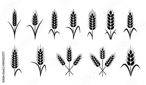  Wheat Ear Icon Set Featuring Various Grain Spike Shapes for Agriculture, Farming, Harvest, Organic Food, and Bakery Design Elements