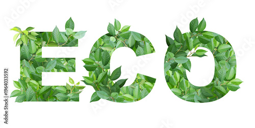 The word ECO made from green leaves. Ecology, global ecological resource, go green concept. Environmental conservation, wildlife protection, Eco-friendly, Green Energy. Isolated on white background