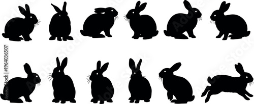 Easter day celebration with easter egg and bunny