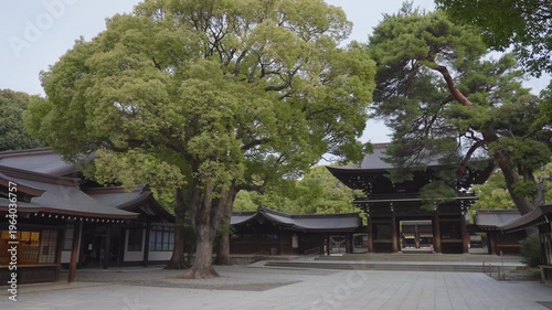 明治神宮の風景動画