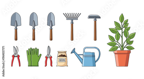 Gardening tools and plant care items.