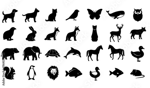  Animal Silhouette Icon Set Featuring Dog, Cat, Bird, Butterfly, Elephant, Dolphin, Horse, Penguin, Fish, and Wildlife Collection for Nature and Zoo Design
