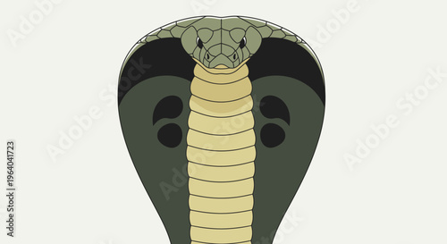 Cobra snake head close up view.