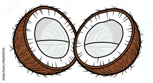 Coconuts halves with brown husk.