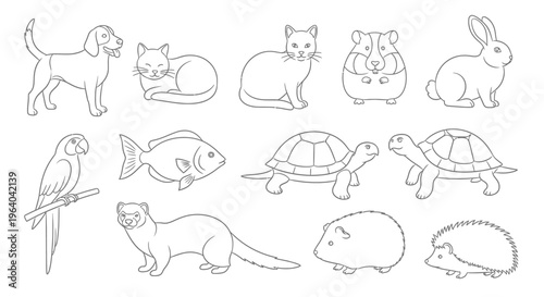 Collection of various cute animal drawings 2.