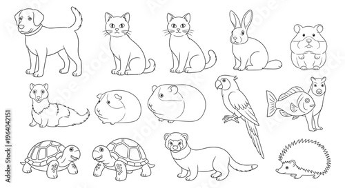 Collection of various cute animal drawings 3.
