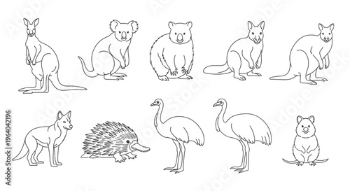 Collection of various cute Australian animals.