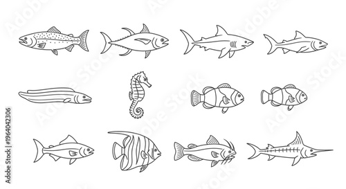 Collection of various fish drawings.
