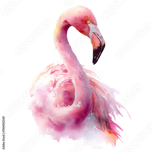 Watercolor Pink Flamingo Illustration Cute Tropical Bird Nursery Wall Art Whimsical Flamingo Graphic