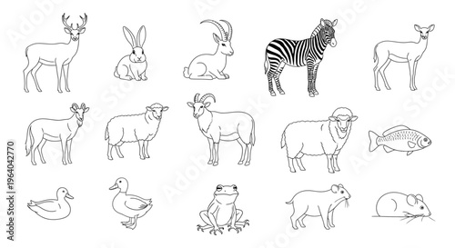 Collection of various wild and domestic animals 1.