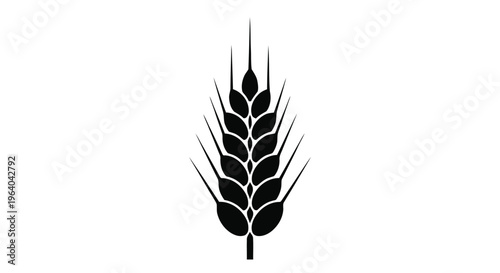 Vector illustration of wheat ear icon, cereal grain symbol for bakery or agriculture