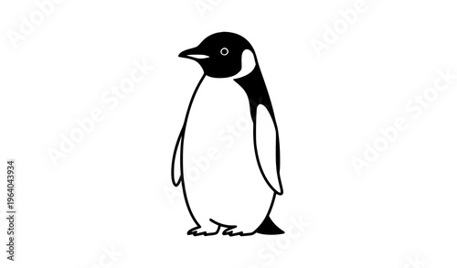 Standing penguin vector illustration minimalist polar bird character isolated on white background nature concept