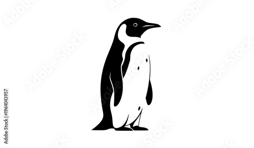 Minimalist penguin standing vector illustration graceful arctic bird isolated on white background wildlife concept