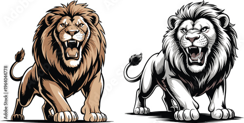 Two lions roaring aggressively, one in color and one in black and white, big cat