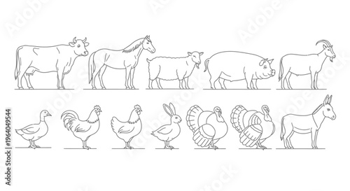 Farm animals in a line illustration.