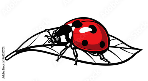 Ladybug on a leaf insect closeup.