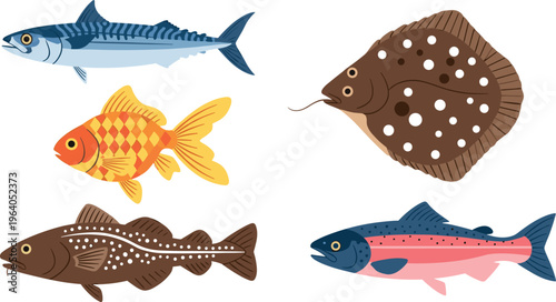 Colorful fish collection with different freshwater and marine species cartoon style aquatic animals vector illustration set isolated