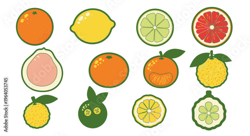 Variety of citrus fruits on display.