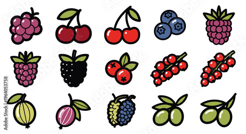 Variety of colorful berry fruits icons.