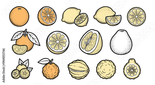 Variety of citrus fruits and slices.