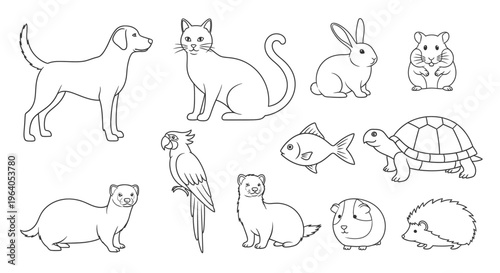 Variety of Common Household Pets.