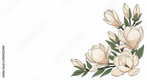 White Magnolia Flower Corner Border Illustration