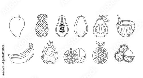 Variety of fruit icons line art 8.
