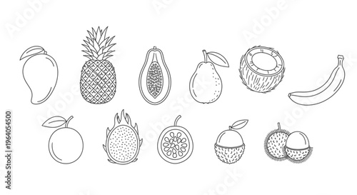 Variety of fruit illustrations 4.