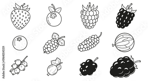 Variety of Fruit Illustrations Closeup 1.